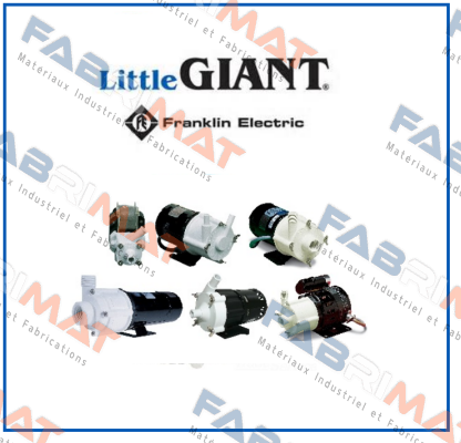 300.0403.01 Little Giant