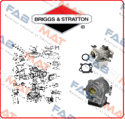 30209 5500  OBSOLETE Briggs-Stratton