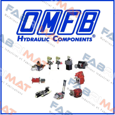 118-000-00019  OMFB Hydraulic