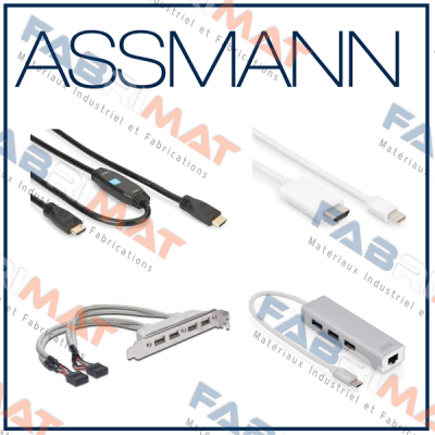  AK-310103-100-E   Assmann