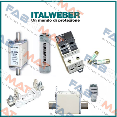 0105025  Italweber