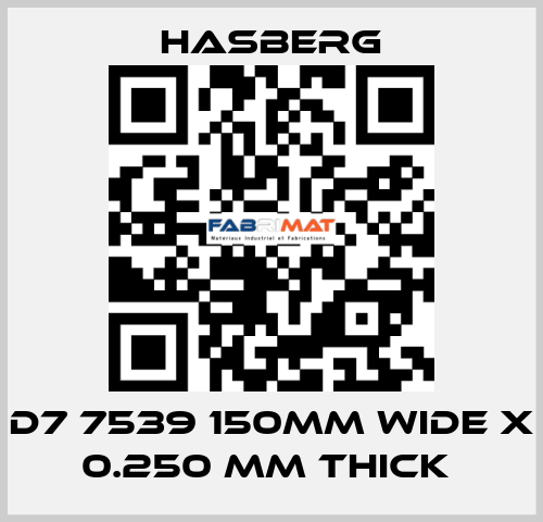 D7 7539 150MM WIDE X 0.250 MM THICK  Hasberg