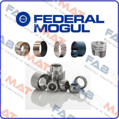 828000010  Federal Mogul