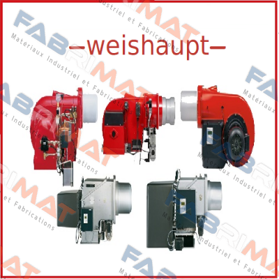 WM-G30/3-A ZM-3LN oem  Weishaupt