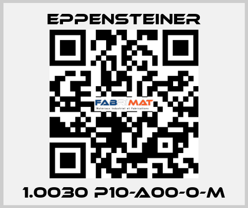 1.0030 P10-A00-0-M Eppensteiner