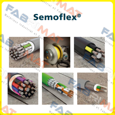 PG29/2M25  Semoflex