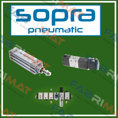 Pneumatic Cylinder for VI100.040.030(1105)  Sopra-Pneumatic