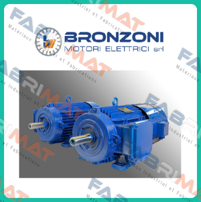 IE2O1003A1100  Bronzoni