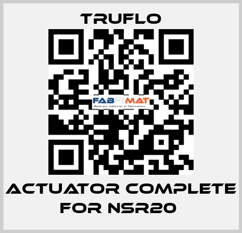 Actuator Complete For NSR20  TRUFLO