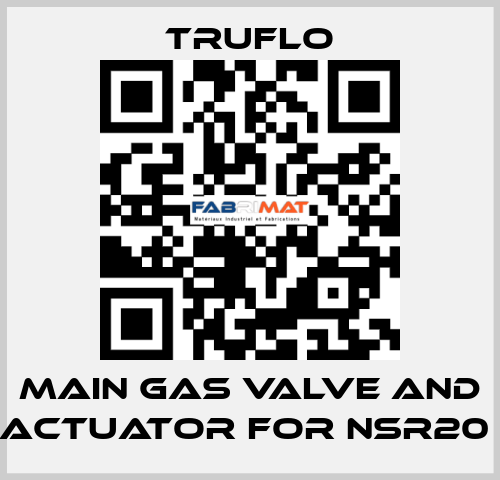 Main Gas Valve and Actuator For NSR20  TRUFLO