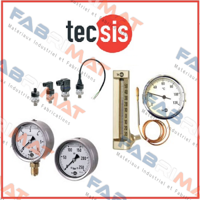 P1877B016901  Tecsis (WIKA Group)