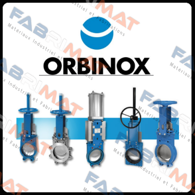 VG DN 250 PN10  Orbinox