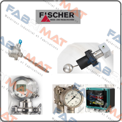 DS21020A23AK0W00 Fischer Mess Regeltechnik