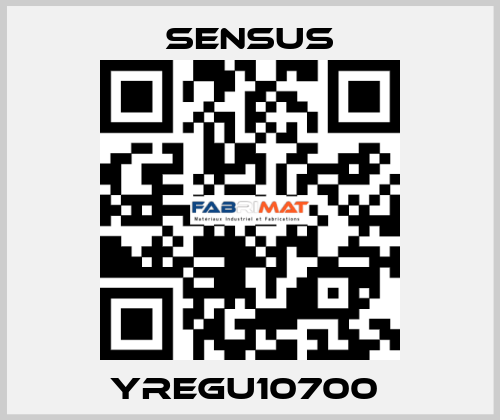 YREGU10700  Sensus