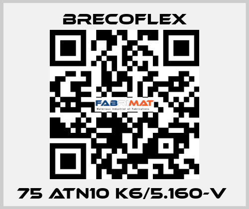 75 ATN10 K6/5.160-V  Brecoflex