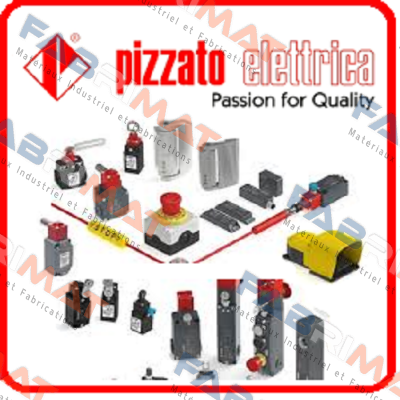 FL705-3K21  Pizzato Elettrica