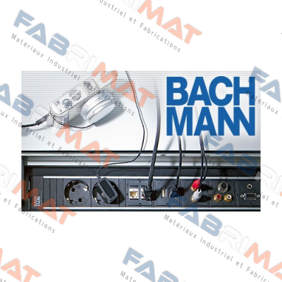 917.001  Bachmann