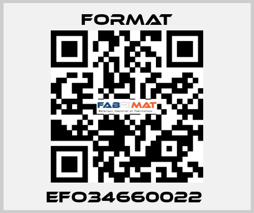 EFO34660022  Format