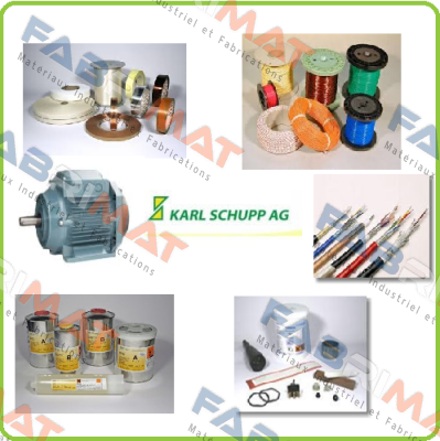 108402  (WWWSCH080) Karl Schupp AG