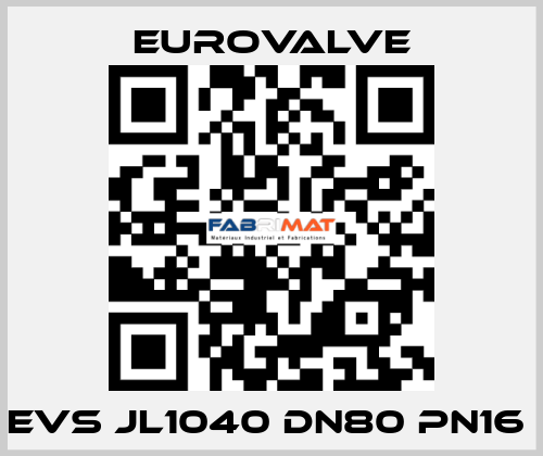 EVS JL1040 DN80 PN16  Eurovalve