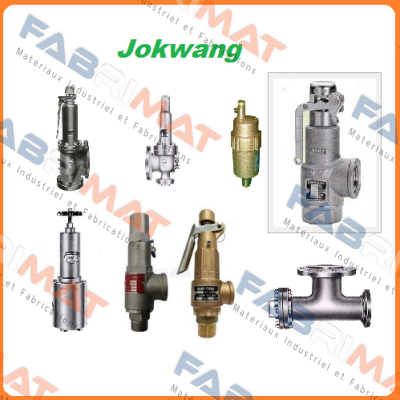 FF100-C-3/4"D1"-A11-212-CN2 12BARG  Jokwang