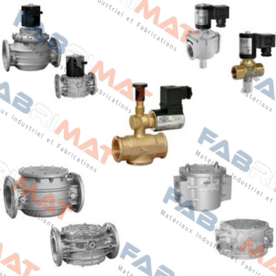 FRG/2MC DN 25 FLANGED VERSION.  Madas