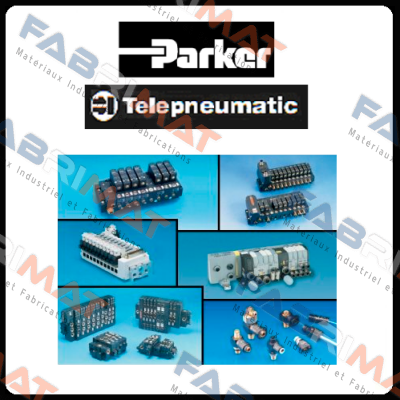 FTCE 2A100 W054312049 (obsolete - replaced by FTCE2B10Q)  Parker