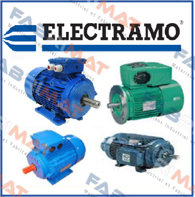 112 M2-4    11.6/6.6 A Electramo