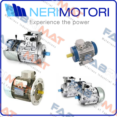 IEC CLF IP55 B5 (200/24)  Neri Motori