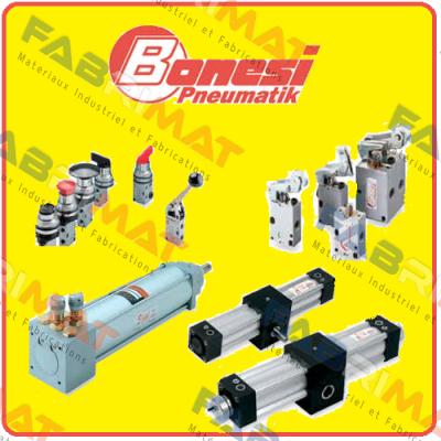 EI131B2L/E   Bonesi Pneumatic