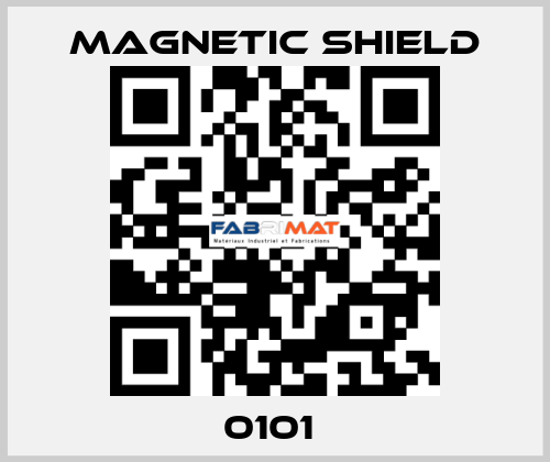 0101  Magnetic Shield