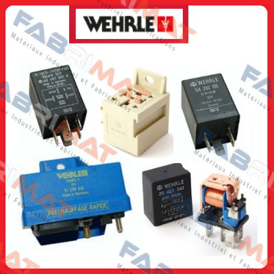 22204013 (1 pack = 260 pcs)  WEHRLE