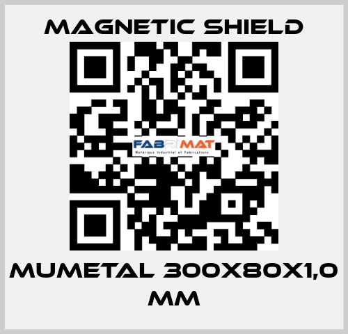 MuMETAL 300x80x1,0 mm Magnetic Shield