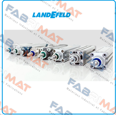 ES 06 F 1B Landefeld