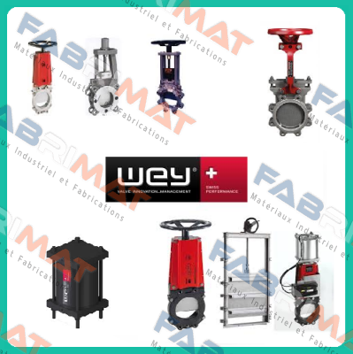 MFA DN50 PN 10 bar knife gate valve Wey Valve