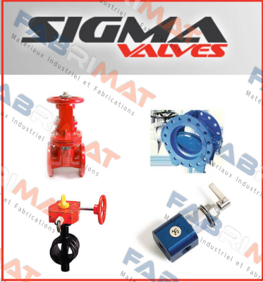 130970-001 Sigma Valves