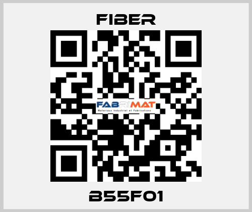 B55F01 Fiber