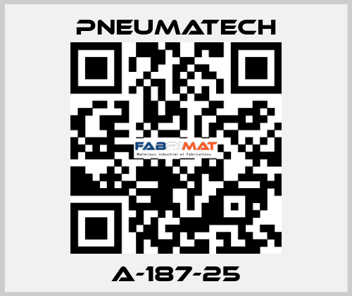 A-187-25 Pneumatech