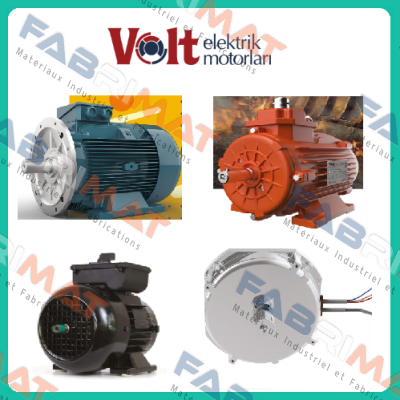 245705200749 (VM 100-4) Volt Elektrik Motor