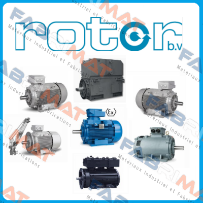 2080619 Rotor