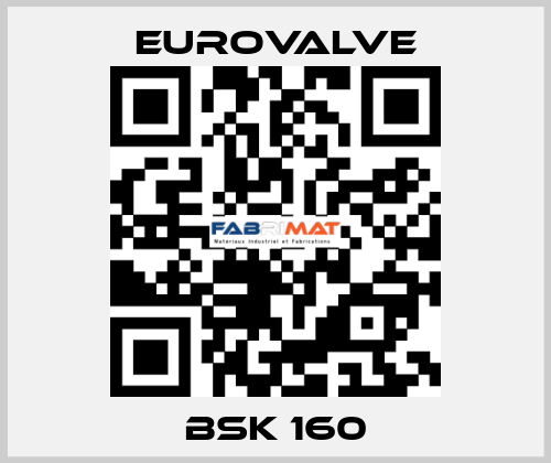 BSK 160 Eurovalve