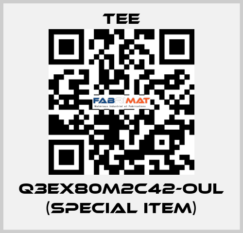 Q3EX80M2C42-OUL (special item) TEE