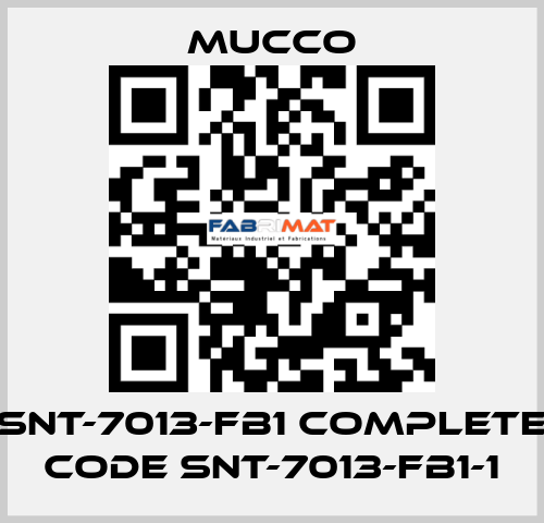 SNT-7013-FB1 complete code SNT-7013-FB1-1 mucco