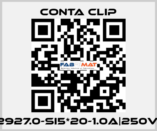 2927.0-SI5*20-1.0A|250V| Conta Clip