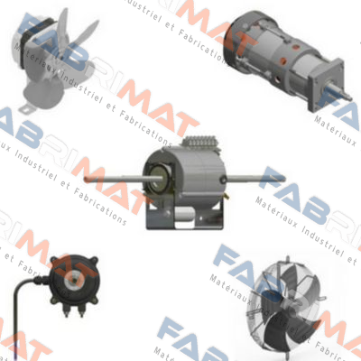 1868000714 FMI (Fan Motors Italia)