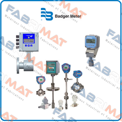 PCDL-BRM25PFT-2F126+MTL Badger Meter