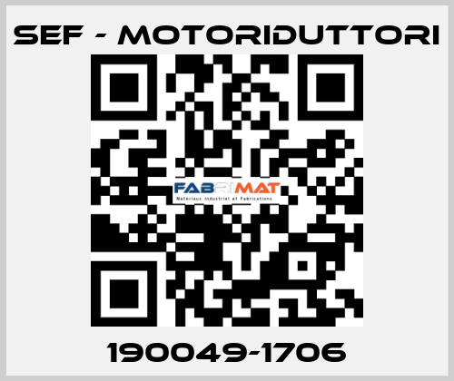 190049-1706 SEF - MOTORIDUTTORI