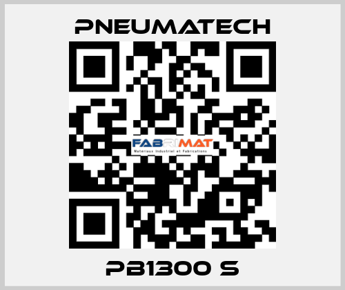 PB1300 S Pneumatech