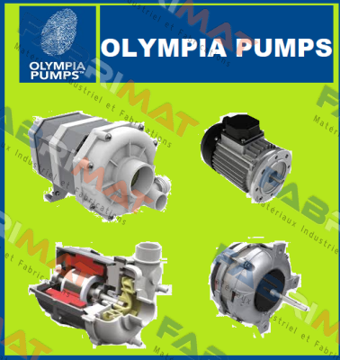 L63.T33DX480 OLYMPIA PUMPS