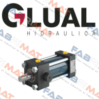 DIN 24338-ISO 6982, P/N: 250 KZ 046 Glual Hydraulics